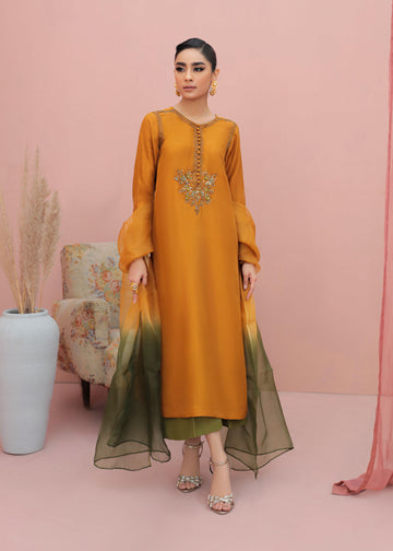 Raw Sienna